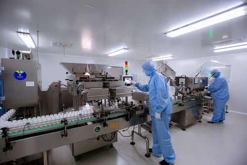 底氣從何而來 記者走進(jìn)國和堂 透明工廠 探源食品安全