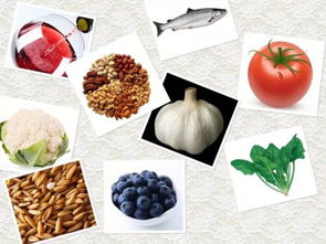 無添加食品 才是最健康的