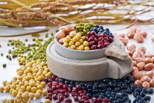 九種補(bǔ)鈣食品,媽媽一定要知道 后悔看晚了