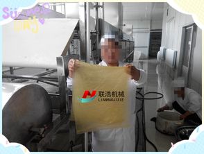食品加工廠濟(jì)南聯(lián)浩全自動(dòng)大型腐竹油皮機(jī)一機(jī)多用
