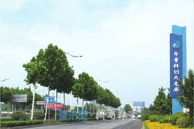 答卷2021 濟南軟件與信息技術服務業——拼搏不息，“走在前”的強勁引擎